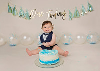 Jacob Turgel  1st Birthday Shoot